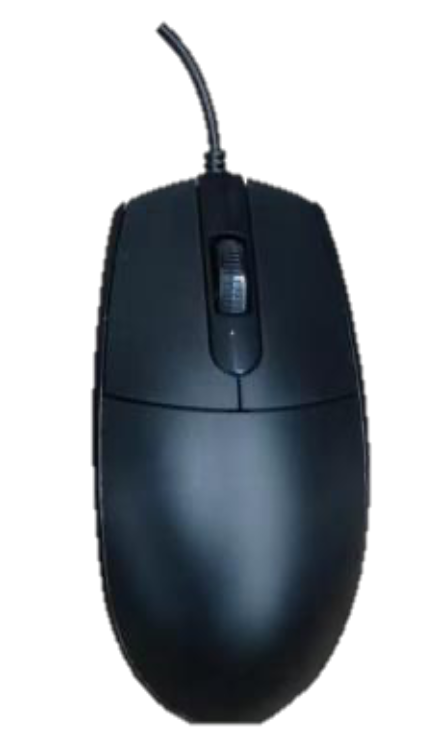 D08 Mouse